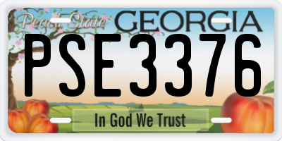 GA license plate PSE3376