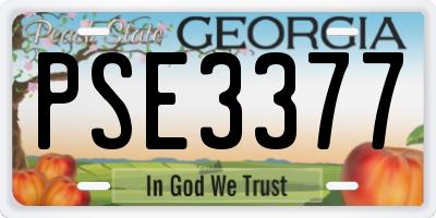 GA license plate PSE3377