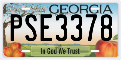 GA license plate PSE3378