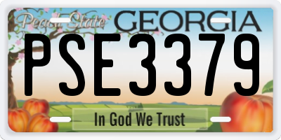 GA license plate PSE3379