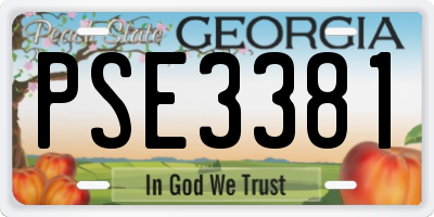 GA license plate PSE3381