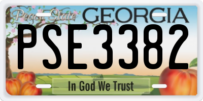 GA license plate PSE3382