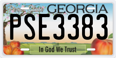 GA license plate PSE3383