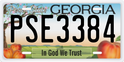 GA license plate PSE3384