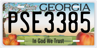 GA license plate PSE3385