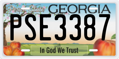 GA license plate PSE3387