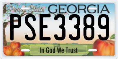 GA license plate PSE3389