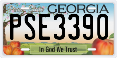 GA license plate PSE3390