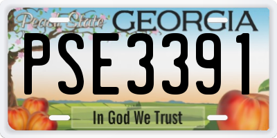 GA license plate PSE3391