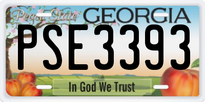 GA license plate PSE3393