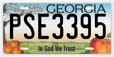 GA license plate PSE3395