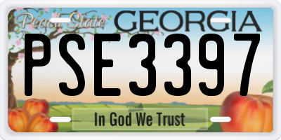 GA license plate PSE3397