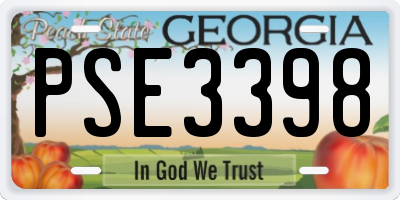 GA license plate PSE3398
