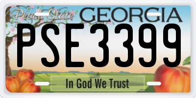 GA license plate PSE3399