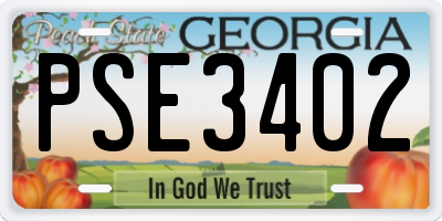 GA license plate PSE3402
