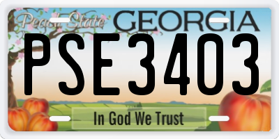 GA license plate PSE3403