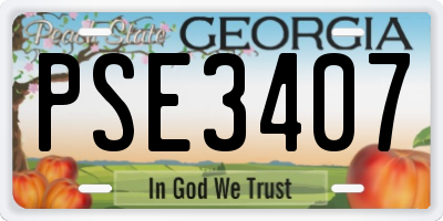 GA license plate PSE3407