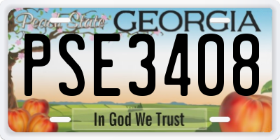 GA license plate PSE3408