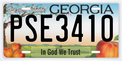GA license plate PSE3410