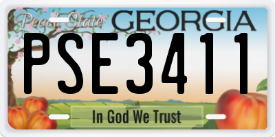 GA license plate PSE3411