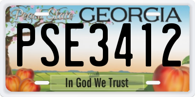 GA license plate PSE3412