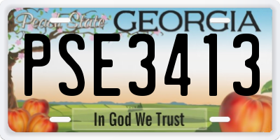 GA license plate PSE3413