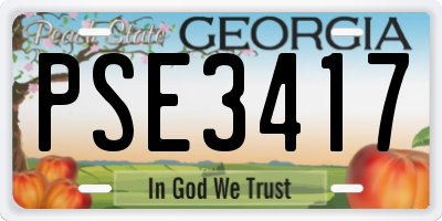 GA license plate PSE3417