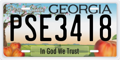 GA license plate PSE3418