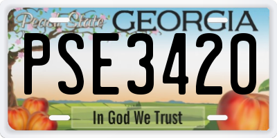 GA license plate PSE3420