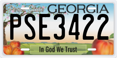 GA license plate PSE3422
