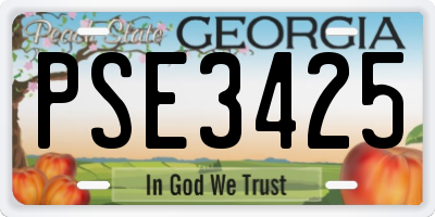 GA license plate PSE3425