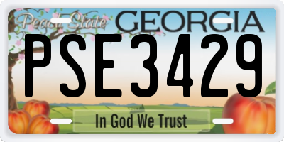 GA license plate PSE3429