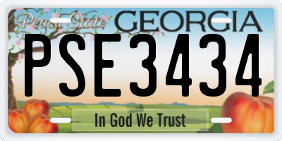 GA license plate PSE3434