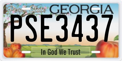 GA license plate PSE3437