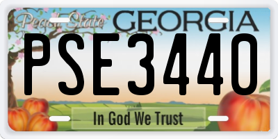 GA license plate PSE3440