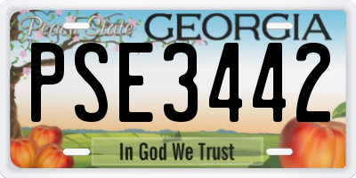 GA license plate PSE3442