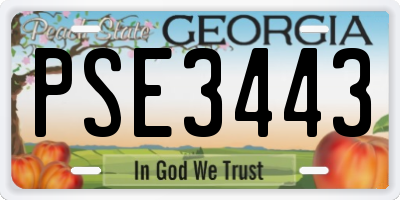 GA license plate PSE3443