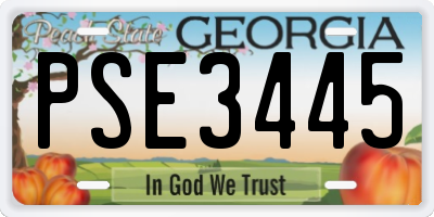 GA license plate PSE3445