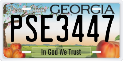 GA license plate PSE3447
