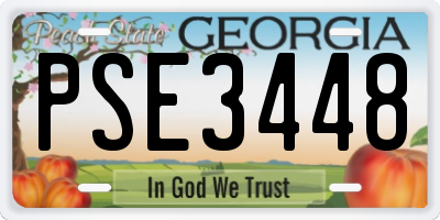 GA license plate PSE3448