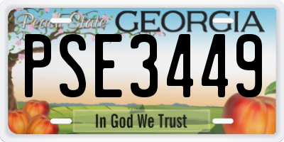 GA license plate PSE3449