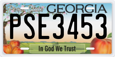 GA license plate PSE3453