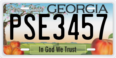 GA license plate PSE3457