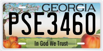 GA license plate PSE3460
