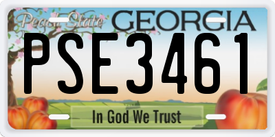 GA license plate PSE3461