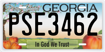 GA license plate PSE3462