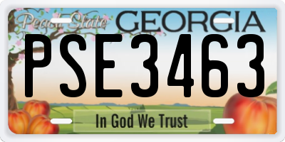 GA license plate PSE3463