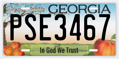 GA license plate PSE3467