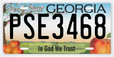 GA license plate PSE3468