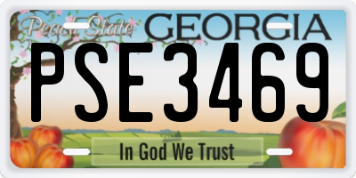 GA license plate PSE3469